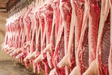 A lot of chopped fresh raw pork meat hanging and arrange and processing deposit in a refrigerator,...