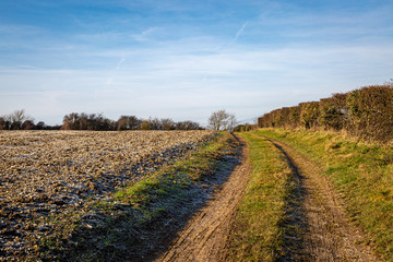 A pathway alongside a frosty ploughed field in Sussex, on a sunny winters day