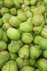 Vertical image of heap of tropical fresh young coconuts selling for coconut juice