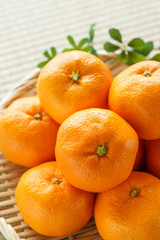 ザルに盛られたみかん