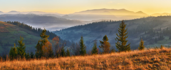 morning Carpathians. scenic sunrise in the mountains. autumn fog