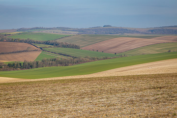 Patchwork fields in the South Downs in Sussex, on a sunny winters day