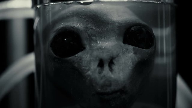 Alien in cylindrical glass vessels (flasks), in a liquid with air supply (bubbles), similar to a laboratory for experiments, similar to mutants, close-up, creepy