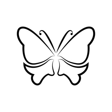Butterfly Logo template Vector illustration.