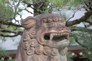 Fototapeta na wymiar 狛犬の顔