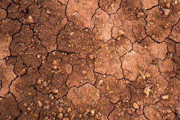 Texture of dried cracked clay. Macro background image of dried clay