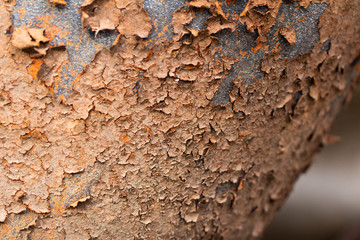 The rust on the iron exfoliates