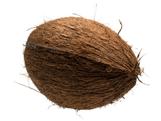Graphic resources of an isolated coconut object on a white background