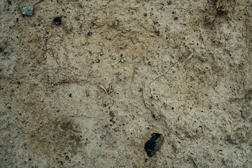 Texture of dried cracked clay. Macro background image of dried clay
