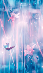 Dreamy spring bellflowers bloom, butterfly close-up, sunlight vertical panorama. Spring floral mixed media art. Artistic toned image. Pastel blue pink toned. Macro with soft focus. Nature background - obrazy, fototapety, plakaty