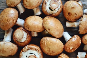 Fototapeta premium Royal fresh mushrooms on a wooden background. Whole brown mushrooms