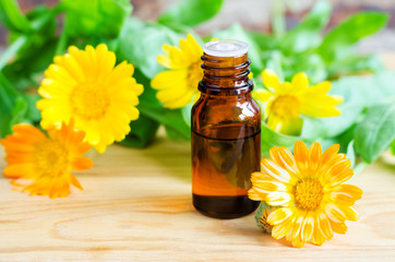 Small bottle with calendula oil (field marigold extract, tincture, infusion). Aromatherapy, spa and herbal medicine ingredients. Copy space