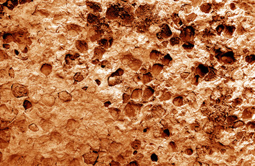 Shell rock stone close-up in orange tone.