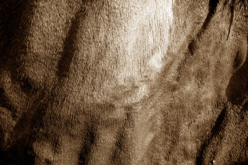 Grungy leather texture on sun in brown tone.