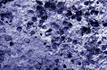 Shell rock stone close-up in blue tone.