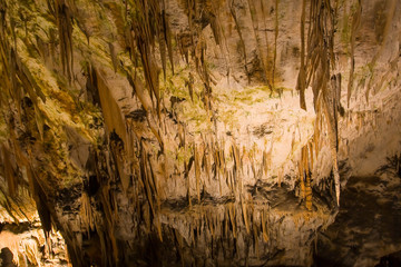 Cave of Postojna, Postojna, Istria, Slovenia, Europe