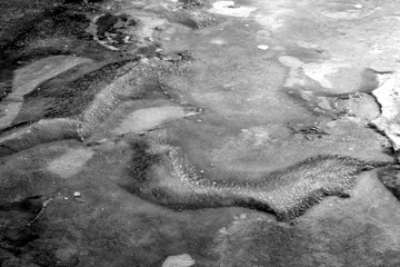 Abstract ice pattern in black and white.