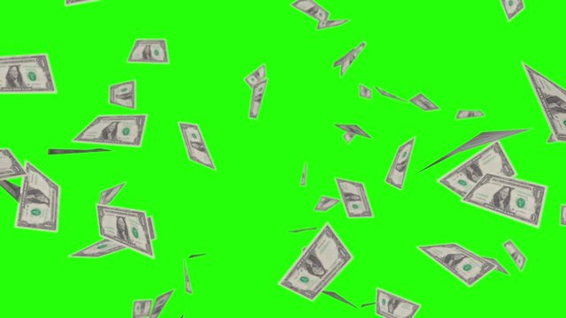 Falling American Dollar currency rain on greens screen animated background