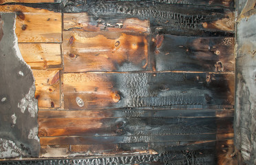 Fototapeta the texture of the planks burnt by fire obraz