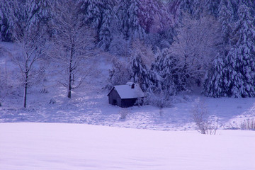 Old hidden sugar house long retired