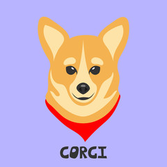 Dog face on a colored background. Corgi breed. Flat picture. Illustration in the style of pop art.