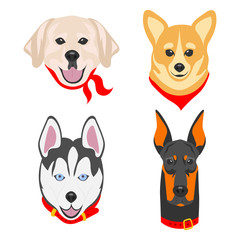 Faces of dogs of different parodies. Dogs drawn in pop art style. Set of flat vector illustrations on a white background. Labrador, Corgi, Husky, Doberman.