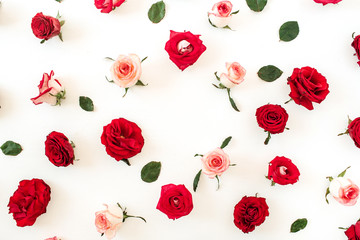 Round frame border of pink, red rose flower buds and leaves on white background. Mockup blank copy space. Flat lay, top view floral composition.