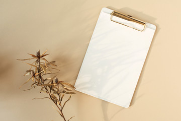 Blank paper clipboard with empty copy space and dry flower branch on pastel beige background. Flat...