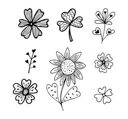 Black and white flowers with heart set in doodle style isolated on white background. Vector stock illustration. Hand drawing line art image for Valentines Day decor.