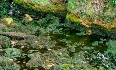Ruisseau de Fontestorbes à Bélesta, France