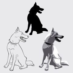 The dog sits and looks to the side. The dog is watching. Dog silhouette, linear, plane, flat. Vector stock illustration.
