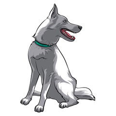The dog sits and looks to the side. The dog is watching. Vector stock illustration on a white background.