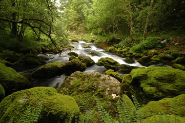 Mountain river in Slovenia, dreamy scenery, moss-covered stones