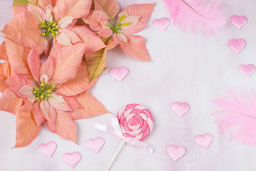 pink poinsettia, pink satin hearts, candy on a stick and feathers