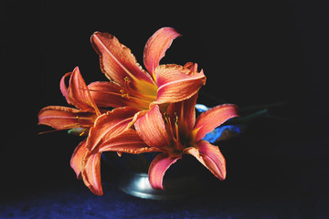 Dark and moody photo of three orange lilies in a blue antique bowl taken using natural light