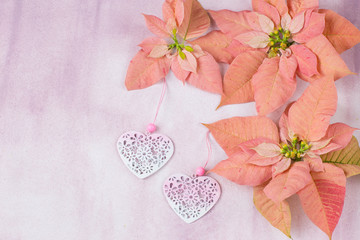 pink poinsettia, two pink hearts on a pink background and free space for text
