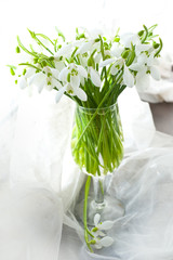 8 march. Snowdrops bunch. Snowdrop flowers. women's day
