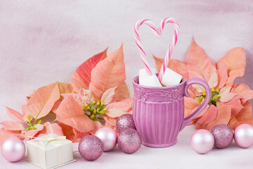 in a mug drink, marshmallows, candy on a stick,   pink poinsettia, christmas balls and gift box