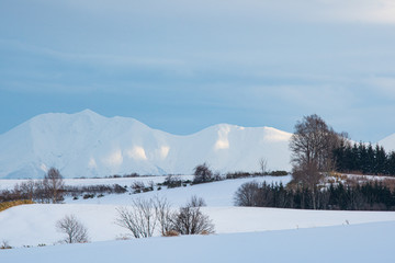 光る雪山