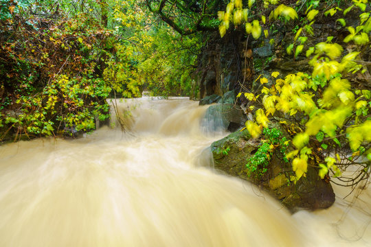 Strong winter waterflow in the Banias River