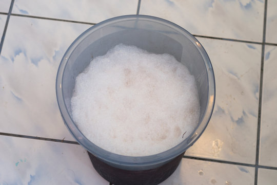 plastic bucket with abdominal fluid from dog with ascitis at the veterinary clinic