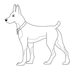 Dog. Coloring page outline of cartoon dog. White background.