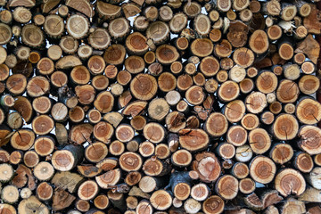 Chopped cherry tree logs stacked up for drying natural background.