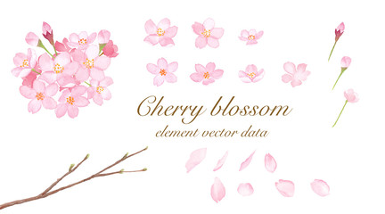 さくらの要素のセット　水彩イラストのトレースベクター © Keiko Takamatsu