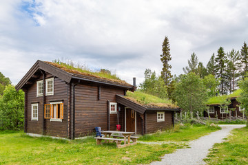 Tradtionial wooden eco cabins and green roof with moss and plants in Norway