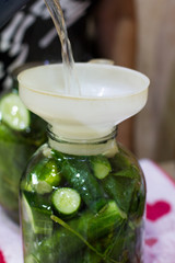 Pickles in jars for the winter. Preservation of vegetables. Environmentally friendly product. Delicious green cucumber. Lifestyle. The collection of vegetables. The process of cooking food