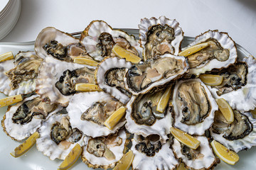 Fresh open oyster on a white plate. in the restaurant appetizer
