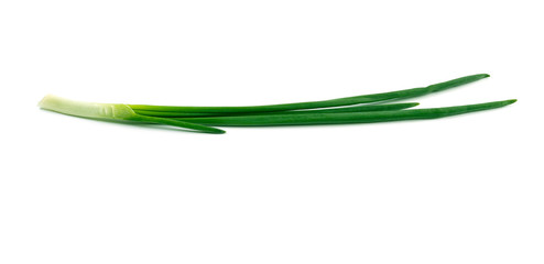 Fresh ripe green onions on white background