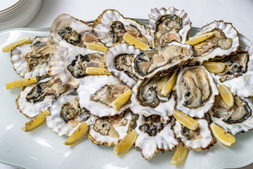 Fresh open oyster on a white plate. in the restaurant appetizer