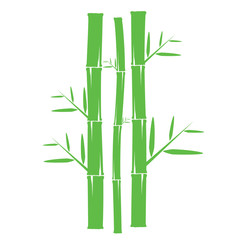Fototapeta premium Template design logo bamboo Vector illustration of icon